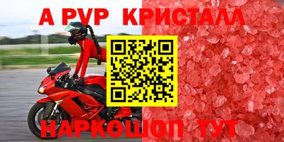 хмурый Новозыбков