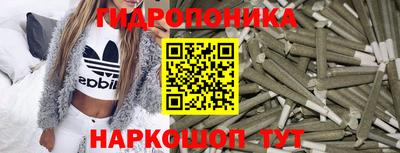 хмурый Новозыбков