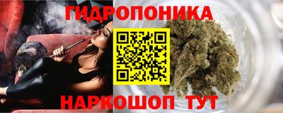 хмурый Новозыбков