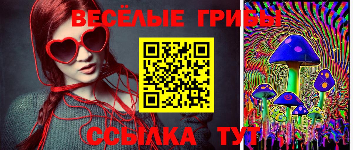 Рузаевка  Псилоцибиновые грибы Magic Shrooms  Псилоцибиновые грибы ЛСД  Вход с VPN 
