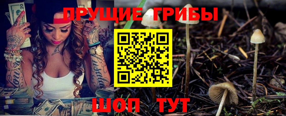 Псилоцибиновые грибы GOLDEN TEACHER Рузаевка
